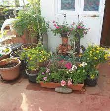 Garden Corner Indian Garden Garden Indian Homes