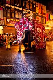 Perhaera Kandy Sri Lanka With Images Wedding Branding Asian Festival Sri Lanka