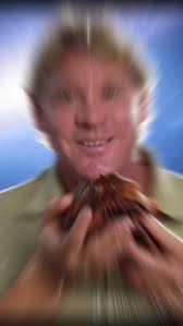 Steve Irwin Angel Fish