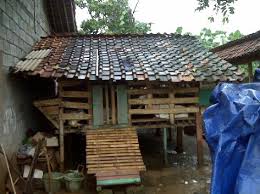 Hai besok pagi di saya akan memanen pohon bambu untuk dijadikan kandang kambing di bangkunya ini bambu wulung jadi ada. 011 Buat Kandang Baru Ciangsana Farm