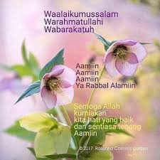 Pin By Hka On St Tk Good Morning Beautiful Images Assalamualaikum Image Muslim Greeting