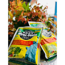 Sun Choong En 5GR