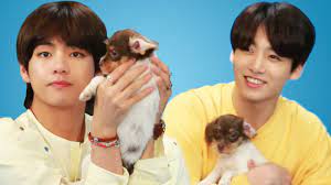 We did not find results for: Bts Plays With Puppies While Answering Fan Questions Youtube