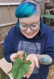 Toads at Stone Lake during mating season