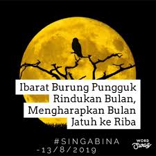 See who's singing pungguk rindukan bulan ost iwan salman. Singa Bina Burung Pungguk Burung Pungguk Memang Facebook