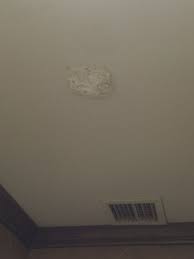 Why And How Would Anyone Stick A Giant Wad Of Wet Paper Towels To The Ceiling Of A Public Bathroom Public Bathrooms Paper Towel Decor