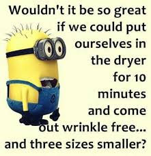 The subreddit defines the concept like so: Pin By Designbynettis On Minons Minions Funny Funny Minion Quotes Funny Minion Memes