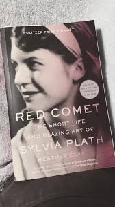 Sylvia Plath The Smallest Man to Ever Life