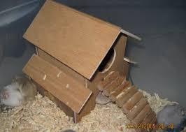 Jika anda mempunyai budget lebih anda bisa membuat kandang dengan kawat galvanis. Cara Membuat Kandang Hamster Dari Kawat Strimin Membuat Itu