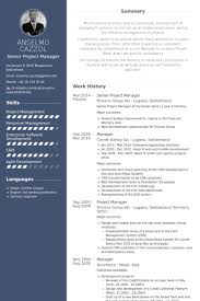 This project manager resume template checks all the right boxes. Free Resume Templates Senior Project Manager Freeresumetemplates Manager Project Resume Project Manager Resume Executive Resume Template Manager Resume