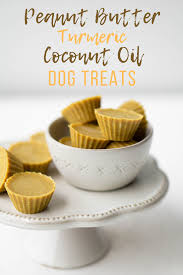 Some Great Free Homemade Dog Food Recipes Dog Biscuit Recipes Healthy Dog Treats Homemade Homemade Dog Food