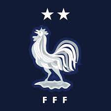 The original size of the image is 200 × 200 px and the original resolution is 300 dpi. France Football Fff Logo Download Logo Icon Png Svg