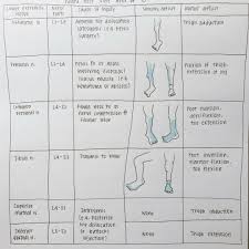 Kind Of A Waste Of Time But I Had Fun Drawing This So I Guess It Evens Out Study Studygram Studyblr Notes Penmanshi Med Student Cool Drawings Have Fun