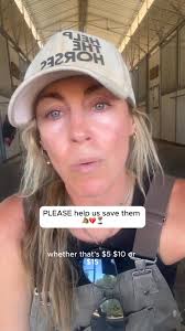 56 baby horses. No parents. No time., Every single one is an orphan, ripped  from their mothers and dumped at a kill pen, just weeks old. Their parents  have already been shipped to Mexico for ...