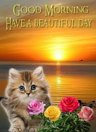 10 Very Cute Good Morning Quotes Cute Good Morning Quotes Cute Good Morning Good Morning Beautiful Pictures