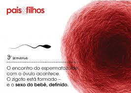 Terceira Semana Pais Filhos