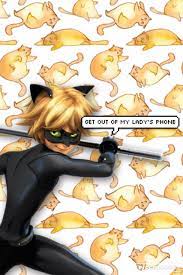 All images best place of wallpapers for free download. Cats Chat And Wallpaper Image Chat Noir Miraculous Ladybug Png 853x1280 Wallpaper Teahub Io
