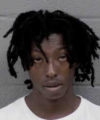 Leon Moses Possession Of Stolen Motor Vehicle