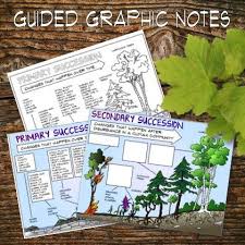 A Comprehensive Overview On Home Decoration Ecological Succession Ecology Doodle Notes