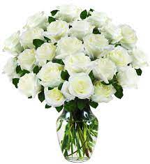 Your white roses stock images are ready. Two Dozen White Rose Bouquet Avas Flowers