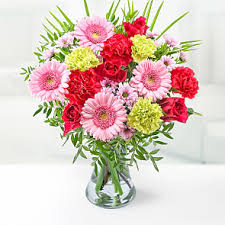 Check spelling or type a new query. Get Well Soon Flowers Bargain Blooms