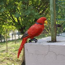 We did not find results for: Innovative Resin Craft Owl Shape Bird Proof Garden Ornaments High Quality Home Decor Accessories Space Saving Lifelike Buy At The Price Of 10 44 In Aliexpress Com Imall Com