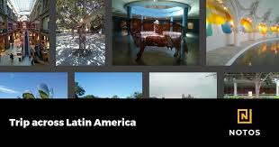 Live video cu prezența la vot în timp real Trip Across Latin America Notos