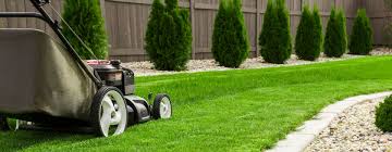 Pielęgnacja terenów zewnętrznych - Konar