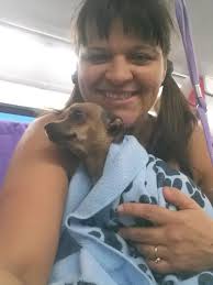 Chasin' Tails Pet Grooming