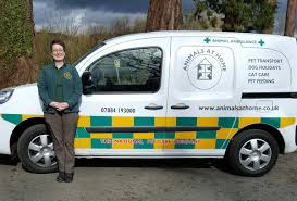 Terminal4pets established our pet courier service in order to provide an alternative to manifested cargo shipments for pets. Animals At Home Pet Service In Perth And Kinross