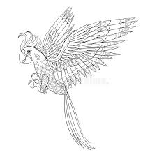 Parrot realistic bird coloring pages. Hand Drawn Tribal Parrot Bird Totem For Adult Coloring Page In Stock Vector Illustration Of Ornament Leaf 60162850
