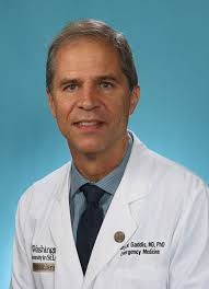 Editors and Editorial Board