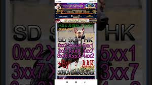 Kode Syair Hk Malam Ini Selasa 10 November 2020 Forum Syair Hk Kumpulan Syair Hk Bergambar Youtube