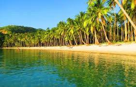 If you're in search of the best philippines wallpapers, you've come to the right place. Wallpaper Beach Palm Trees The Ocean Philippines The Nest Images For Desktop Section Priroda Download
