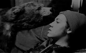 𝐭𝐡𝐞 𝐛𝐚𝐛𝐲 𝐩𝐫𝐨𝐣𝐞𝐜𝐭