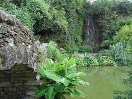 Japanese Tea Garden San Antonio Fun Maps