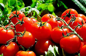 A prospective study of cruciferous vegetables and prostate cancer. Lycopene Benefits For Black Men In Prostate Cancer Prevention