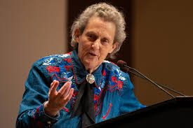 Advice from temple grandin offering an inside perspective on asd, including temple, pictured here with ari founder bernard rimland, ph.d. Award Winning Author And Activist Temple Grandin Speaks At Siu On Developing Talent Daily Egyptian