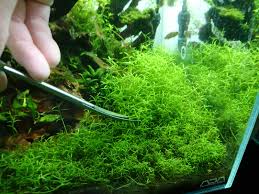 - 気づいたらアクア - FC2