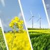 Your generous support will put the best conservation science and climate solutions to action. 3