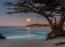 Bliss on the Beach – Carmel Magazine