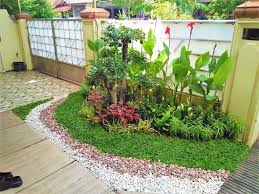 Jenis rumput ini disebut juga rumput gajah mini putih. Rumput Gajah Mini Penutup Tanah Paling Populer