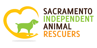 Established in 1894, the sacramento spca is dedicated to fostering a loving and compassionate. Pets For Adoption At Sacramento Independent Animal Rescuers In Roseville Ca Petfinder