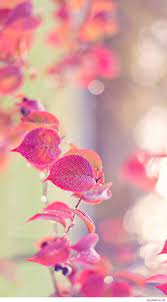 Choose through a wide variety of girly wallpaper, find the best picture available. Girlish Wallpapers Wallpaper Cave