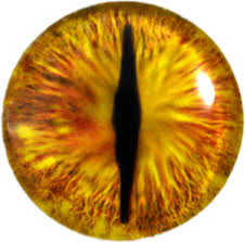 Download Yellow Dragon Eye Full Size Png Image Pngkit The yellow cat eyes on the black background. download yellow dragon eye full size