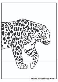 The leopard coloring pages also available in pdf file that you can download for free. Leopards Coloring Pages Updated 2021