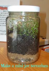 Easy Preschool Science Make A Mini Terrarium In A Jar Science Experiments For Preschoolers Mini Terrarium How To Make Terrariums