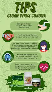 Numaca Hwi Obat Penyubur Kandungan 100 Dari Hwi Indonesia Kesuburan Kesehatan Tanaman Umbi