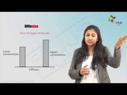 We did not find results for: Cell Organelles Types Structure And Their Functions
