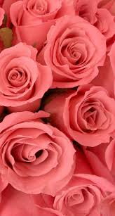 Pin by lady chi town on beautiful flowers flower wallpaper. Lock Screen Rose Gold Flower Lock Screen Rose Gold Iphone Wallpaper Novocom Top